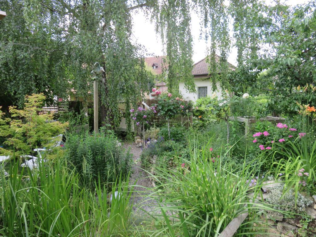 BnB Erlach Exterior foto